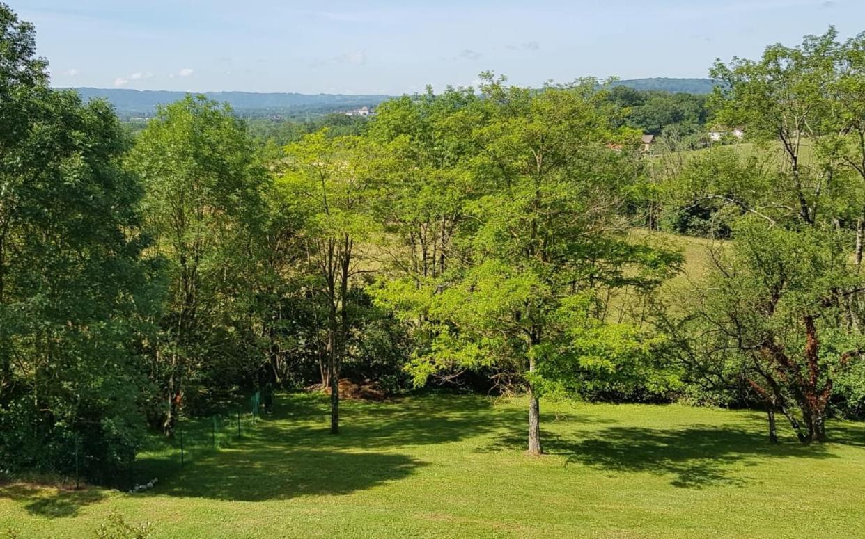 Hotel Le Domaine De Tizo Saint-Victor-de-Morestel Zewnętrze zdjęcie